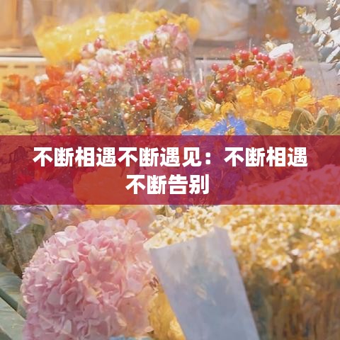 不斷相遇不斷遇見：不斷相遇不斷告別 