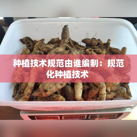 種植技術規范由誰編制：規范化種植技術 