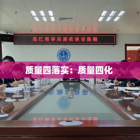 質(zhì)量四落實(shí):質(zhì)量四化