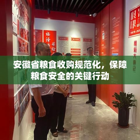 安徽省糧食收購規(guī)范化,保障糧食安全的關(guān)鍵行動