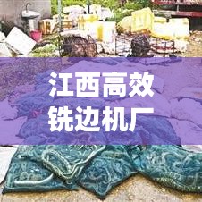 江西高效銑邊機廠家：銑邊機技術教程 