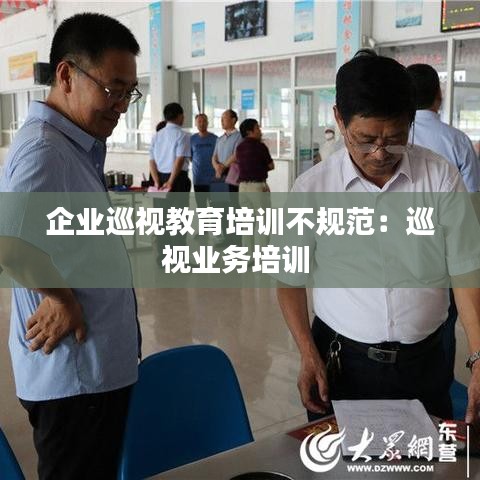 企業巡視教育培訓不規范:巡視業務培訓