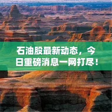 石油股最新動態，今日重磅消息一網打盡！