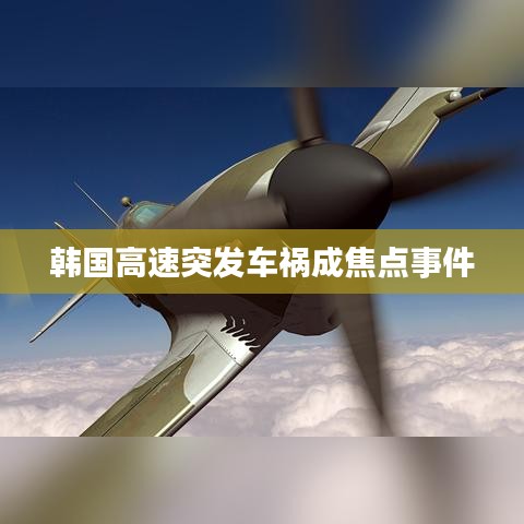 富貴有余 第3頁