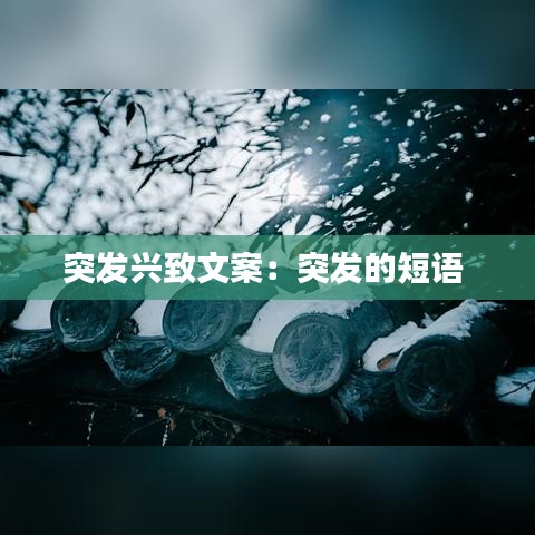 突發興致文案：突發的短語 