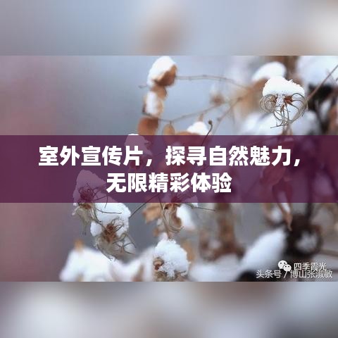 室外宣傳片,探尋自然魅力,無限精彩體驗