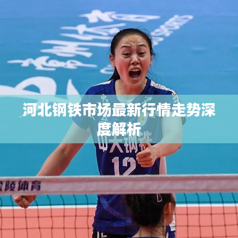 河北鋼鐵市場最新行情走勢深度解析