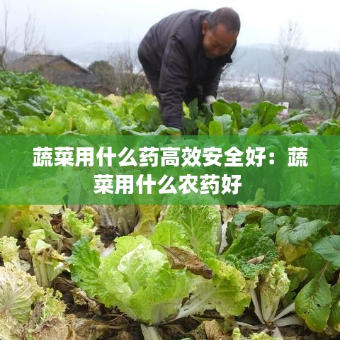 蔬菜用什么藥高效安全好:蔬菜用什么農藥好