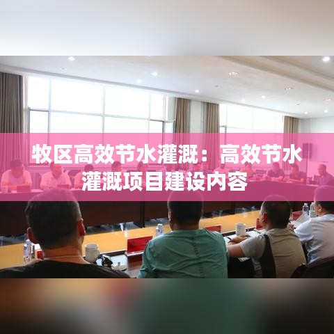 牧區高效節水灌溉：高效節水灌溉項目建設內容 