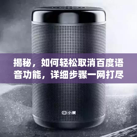 揭秘,如何輕松取消百度語(yǔ)音功能,詳細(xì)步驟一網(wǎng)打盡!