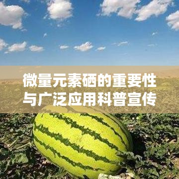 微量元素硒的重要性與廣泛應用科普宣傳啟動！