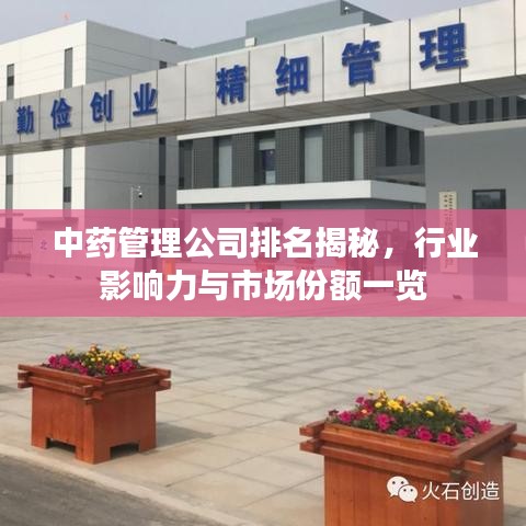 中藥管理公司排名揭秘,行業(yè)影響力與市場份額一覽