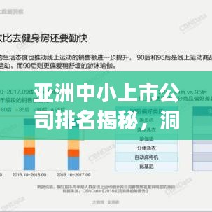 亞洲中小上市公司排名揭秘,洞悉企業發展新動向