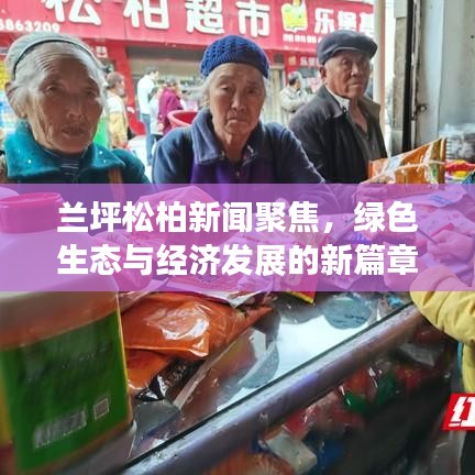 蘭坪松柏新聞聚焦，綠色生態與經濟發展的新篇章