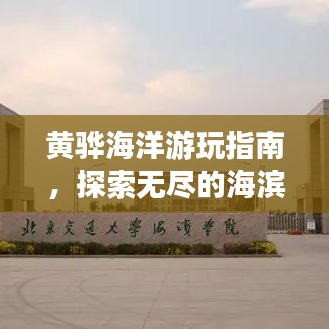 黃驊海洋游玩指南，探索無盡的海濱魅力！
