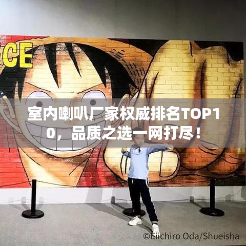 室內喇叭廠家權威排名TOP10，品質之選一網打盡！