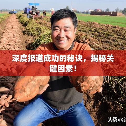 深度報道成功的秘訣,揭秘關(guān)鍵因素!