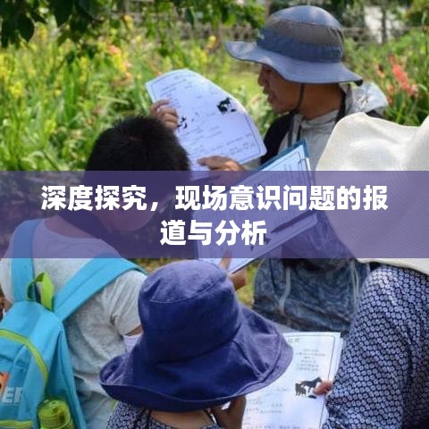 深度探究,現場意識問題的報道與分析