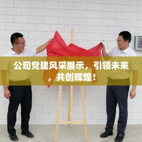 公司黨建風采展示，引領未來，共創輝煌！