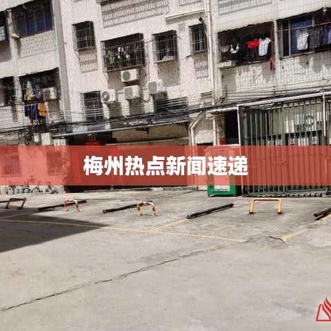 梅州熱點新聞速遞