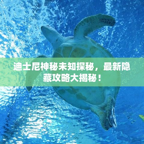 迪士尼神秘未知探秘,最新隱藏攻略大揭秘!