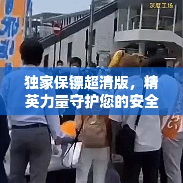 獨家保鏢超清版,精英力量守護您的安全