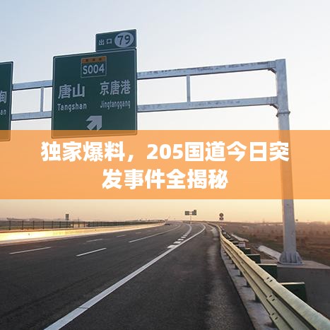 獨(dú)家爆料，205國道今日突發(fā)事件全揭秘