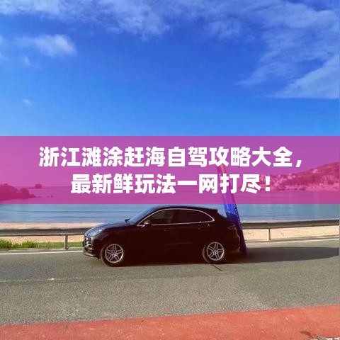 浙江灘涂趕海自駕攻略大全,最新鮮玩法一網打盡!