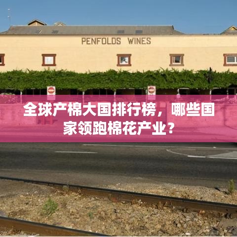 全球產棉大國排行榜,哪些國家領跑棉花產業?