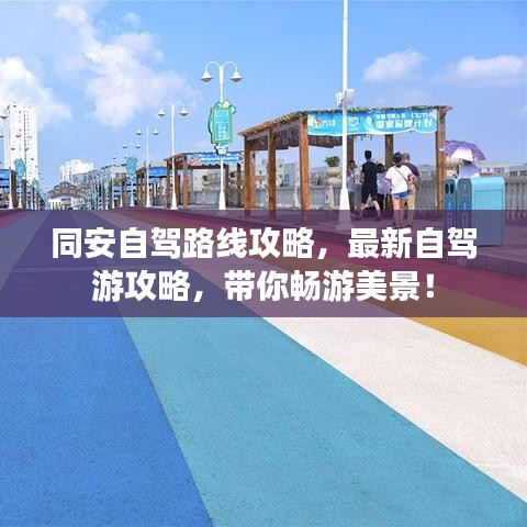 同安自駕路線攻略,最新自駕游攻略,帶你暢游美景!