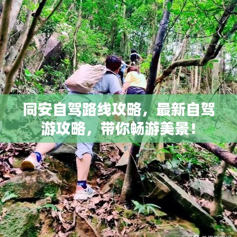 同安自駕路線攻略,最新自駕游攻略,帶你暢游美景!