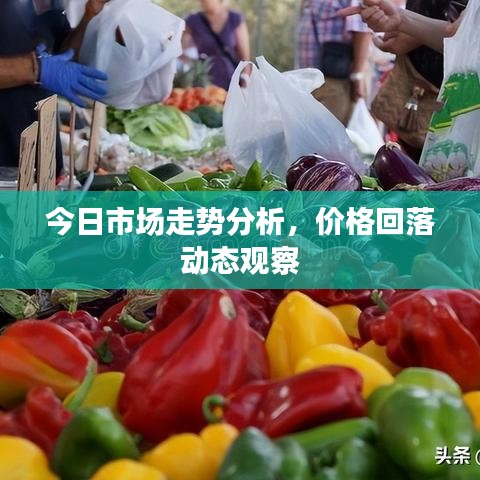 今日市場走勢分析，價格回落動態(tài)觀察