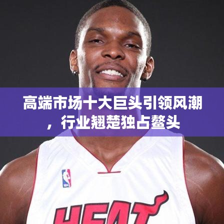 高端市場十大巨頭引領風潮,行業翹楚獨占鰲頭