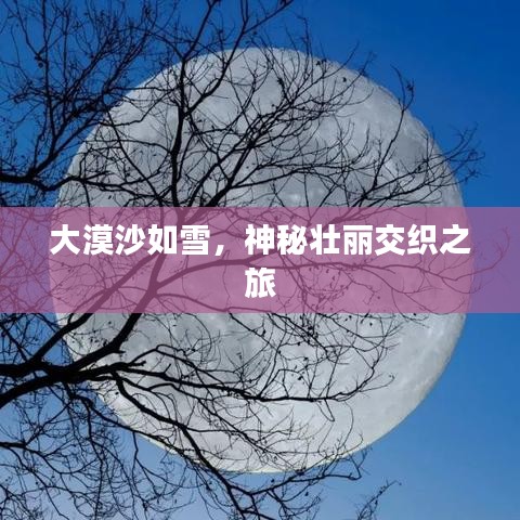 大漠沙如雪,神秘壯麗交織之旅