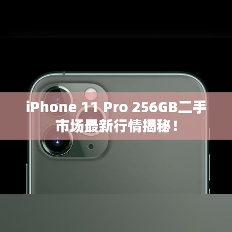 iPhone 11 Pro 256GB二手市場(chǎng)最新行情揭秘!
