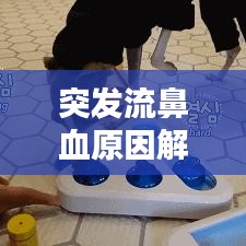 突發流鼻血原因解析,處理及預防措施全攻略