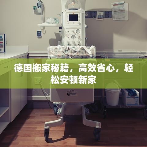 德國搬家秘籍，高效省心，輕松安頓新家