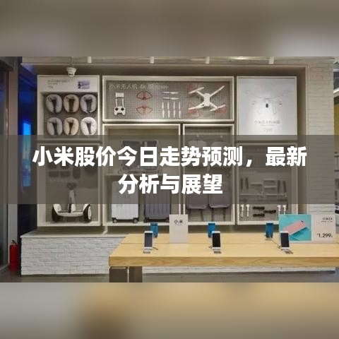 小米股價今日走勢預測,最新分析與展望