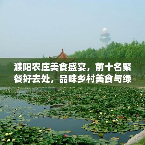 濮陽農(nóng)莊美食盛宴,前十名聚餐好去處,品味鄉(xiāng)村美食與綠意盎然之旅