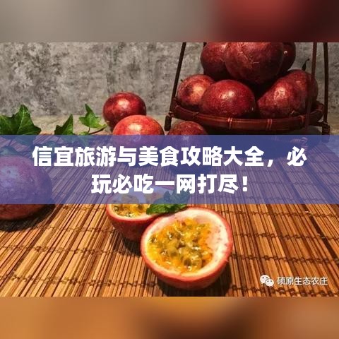 信宜旅游與美食攻略大全，必玩必吃一網打盡！