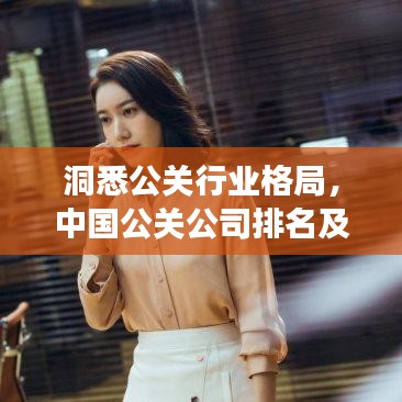 洞悉公關(guān)行業(yè)格局,中國公關(guān)公司排名及發(fā)展趨勢深度解析