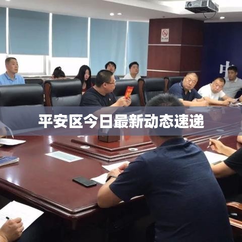 平安區(qū)今日最新動態(tài)速遞