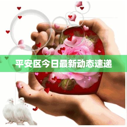 平安區(qū)今日最新動態(tài)速遞