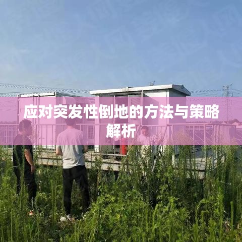 應對突發性倒地的方法與策略解析