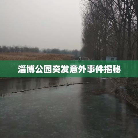 淄博公園突發意外事件揭秘