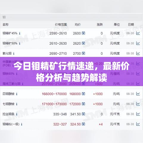 今日鉬精礦行情速遞,最新價格分析與趨勢解讀