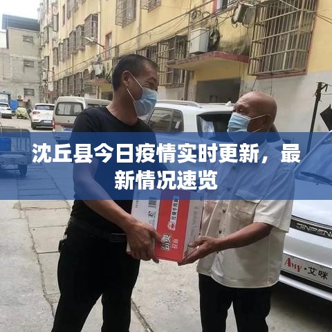 沈丘縣今日疫情實時更新,最新情況速覽