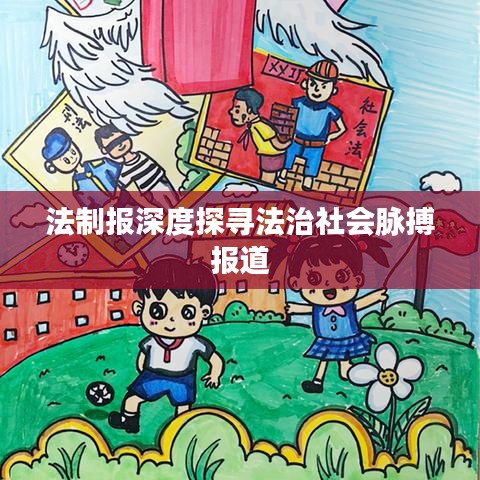 法制報(bào)深度探尋法治社會(huì)脈搏報(bào)道