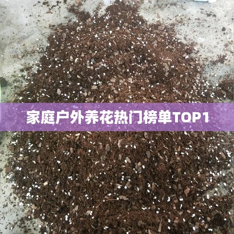 群雌粥粥 第3頁