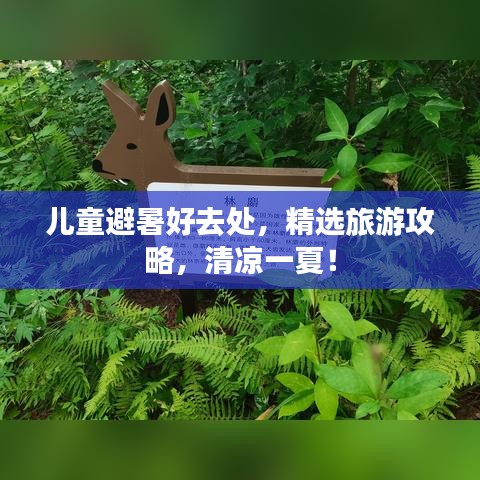 兒童避暑好去處，精選旅游攻略，清涼一夏！